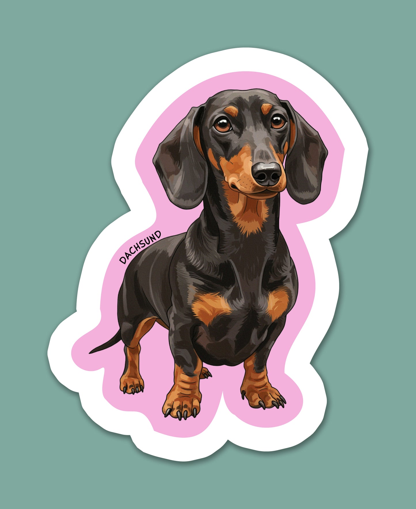 Dachshund Sticker
