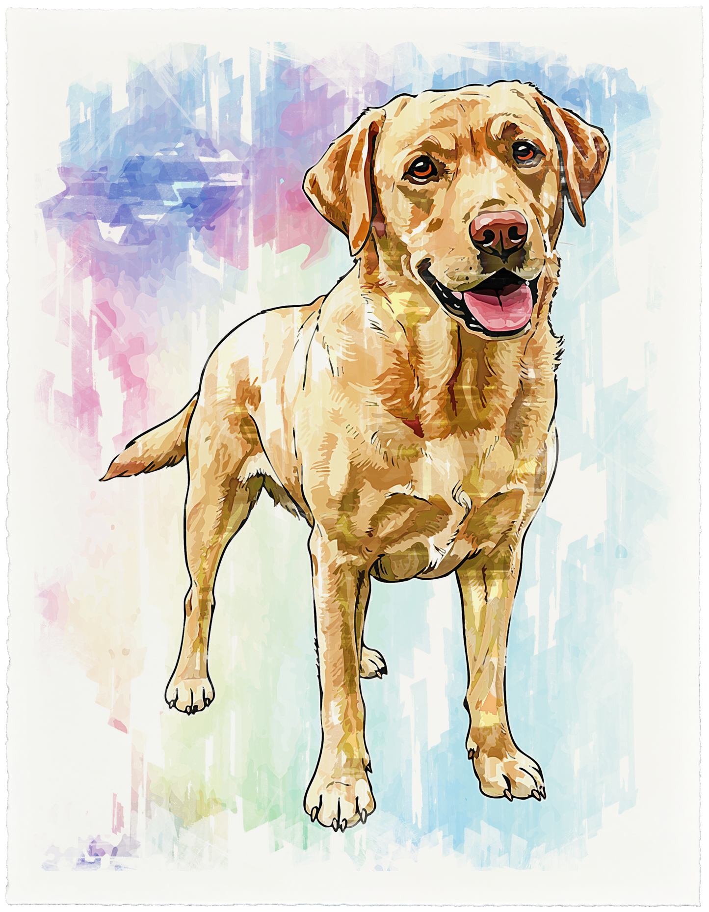 Labrador Retriever