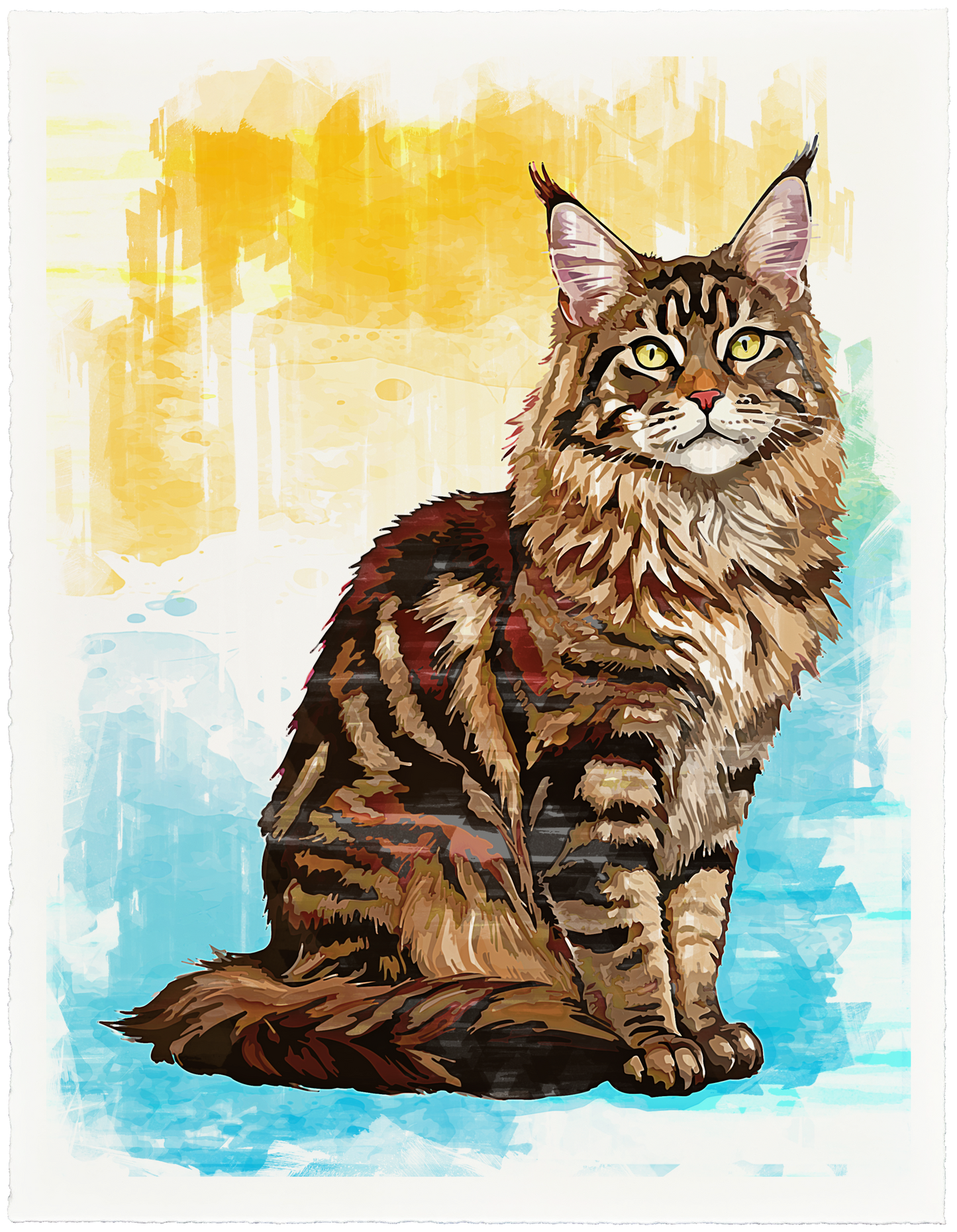 Maine Coon