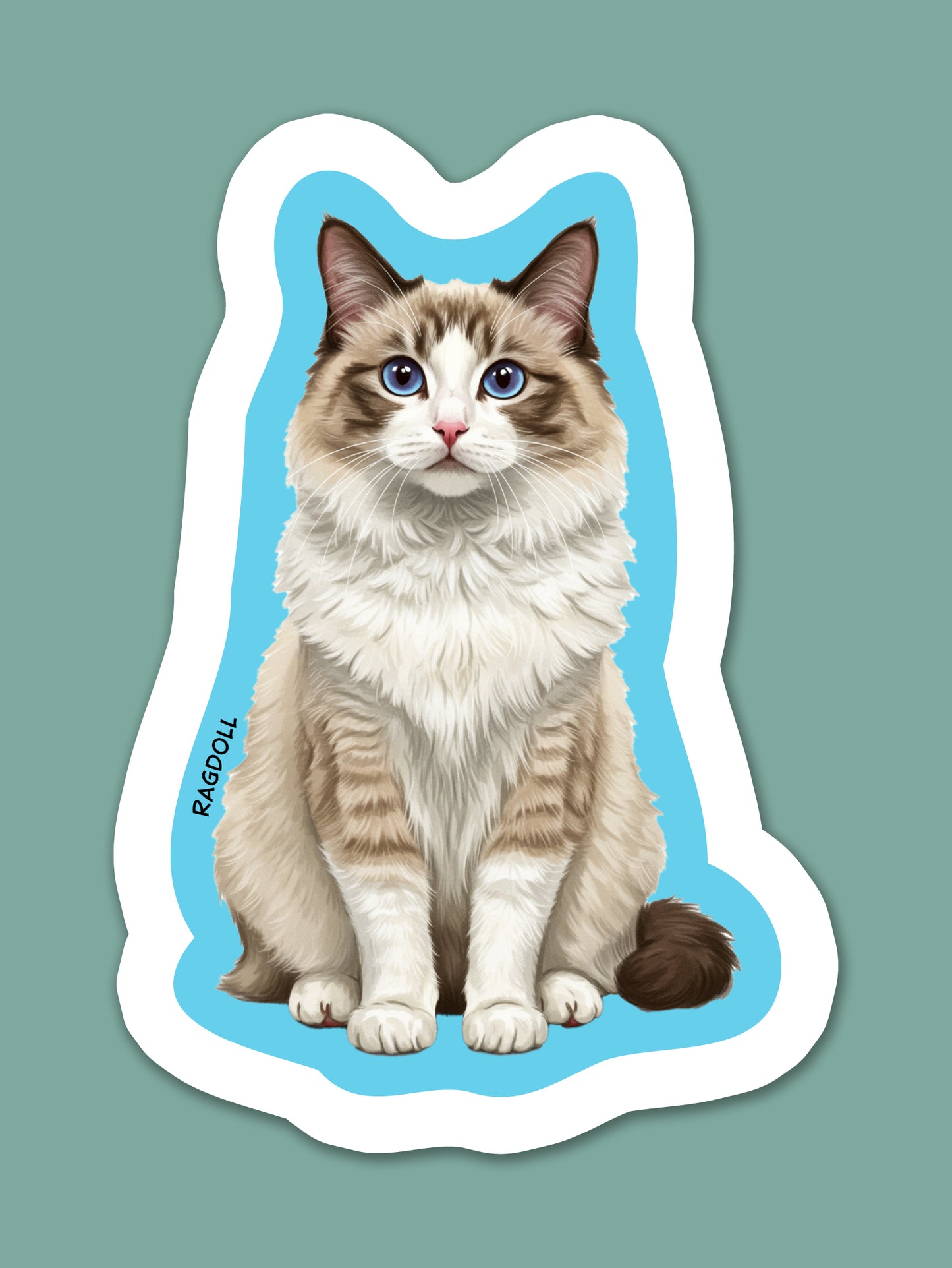 Ragdoll Sticker