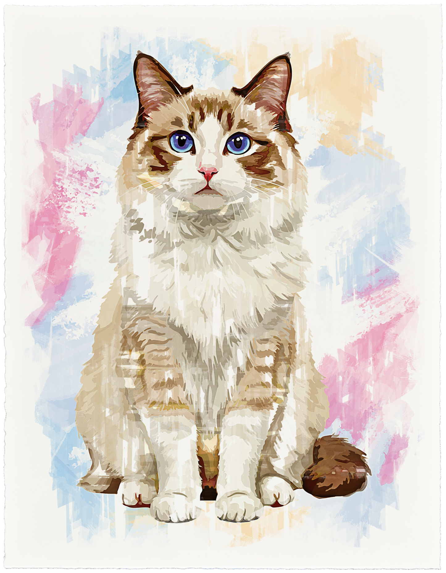 Ragdoll