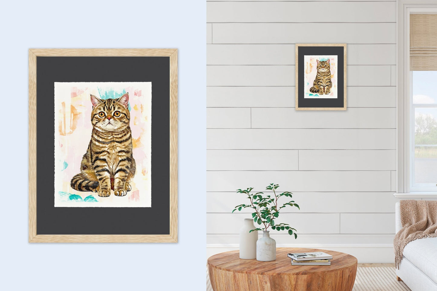 Exotic Shorthair - Cup of Tea Creative