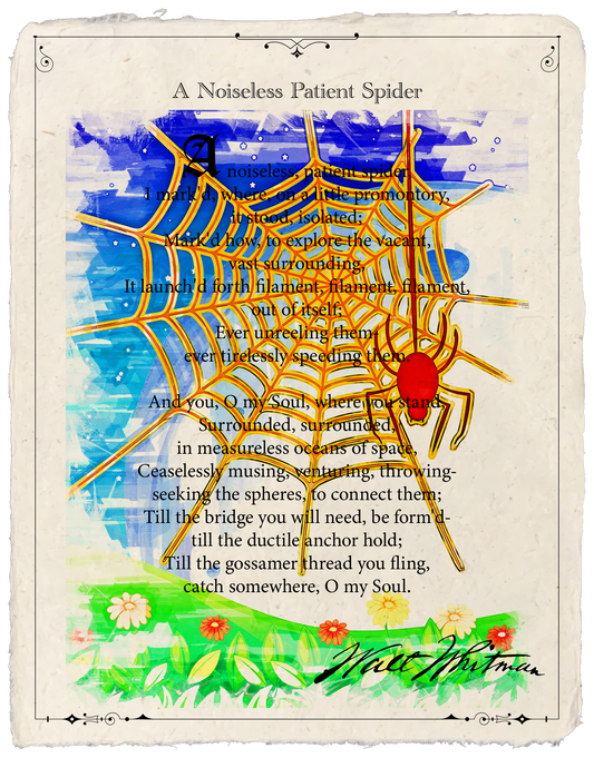 A Noiseless Patient Spider