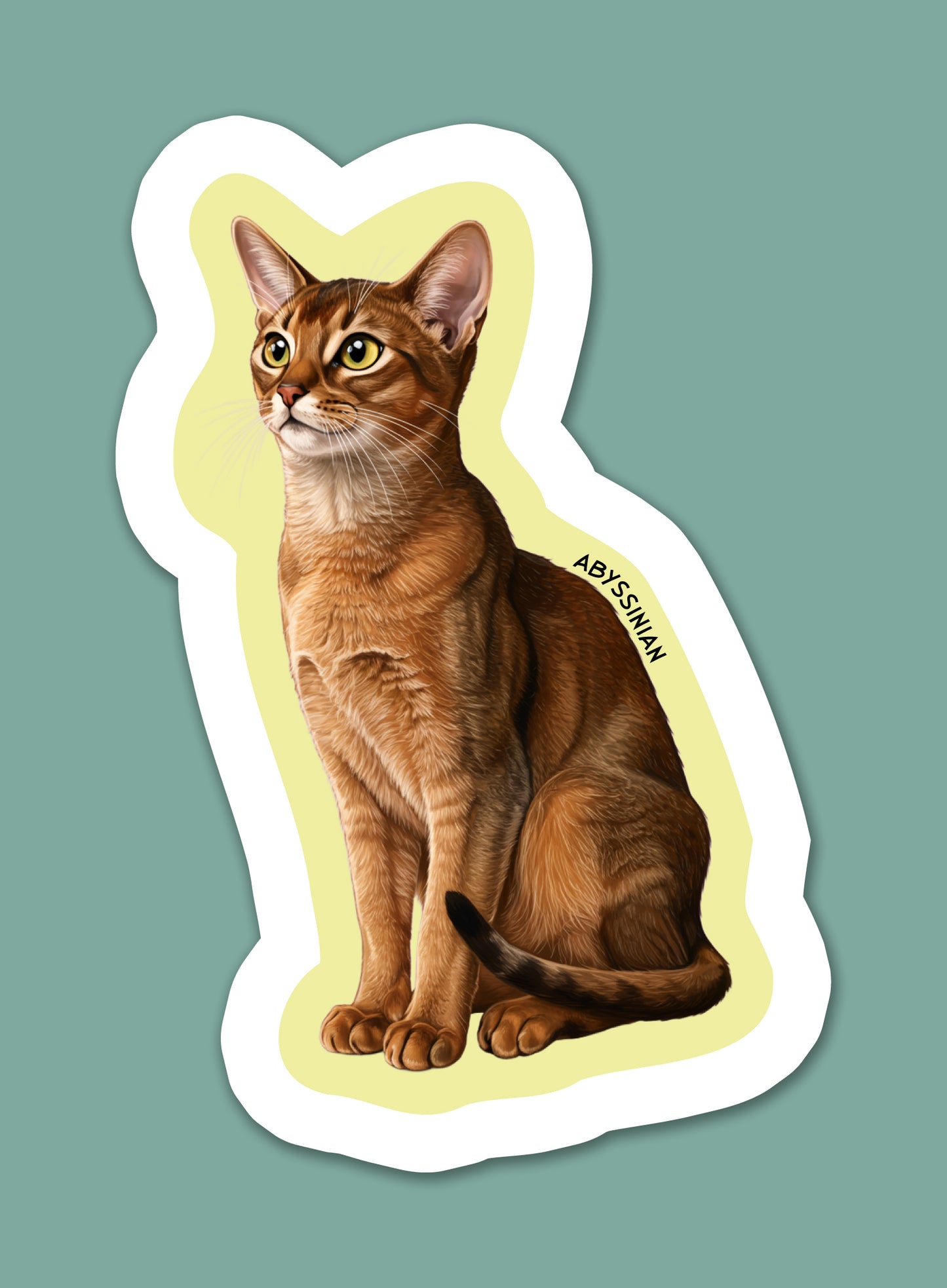 Abyssinian Sticker