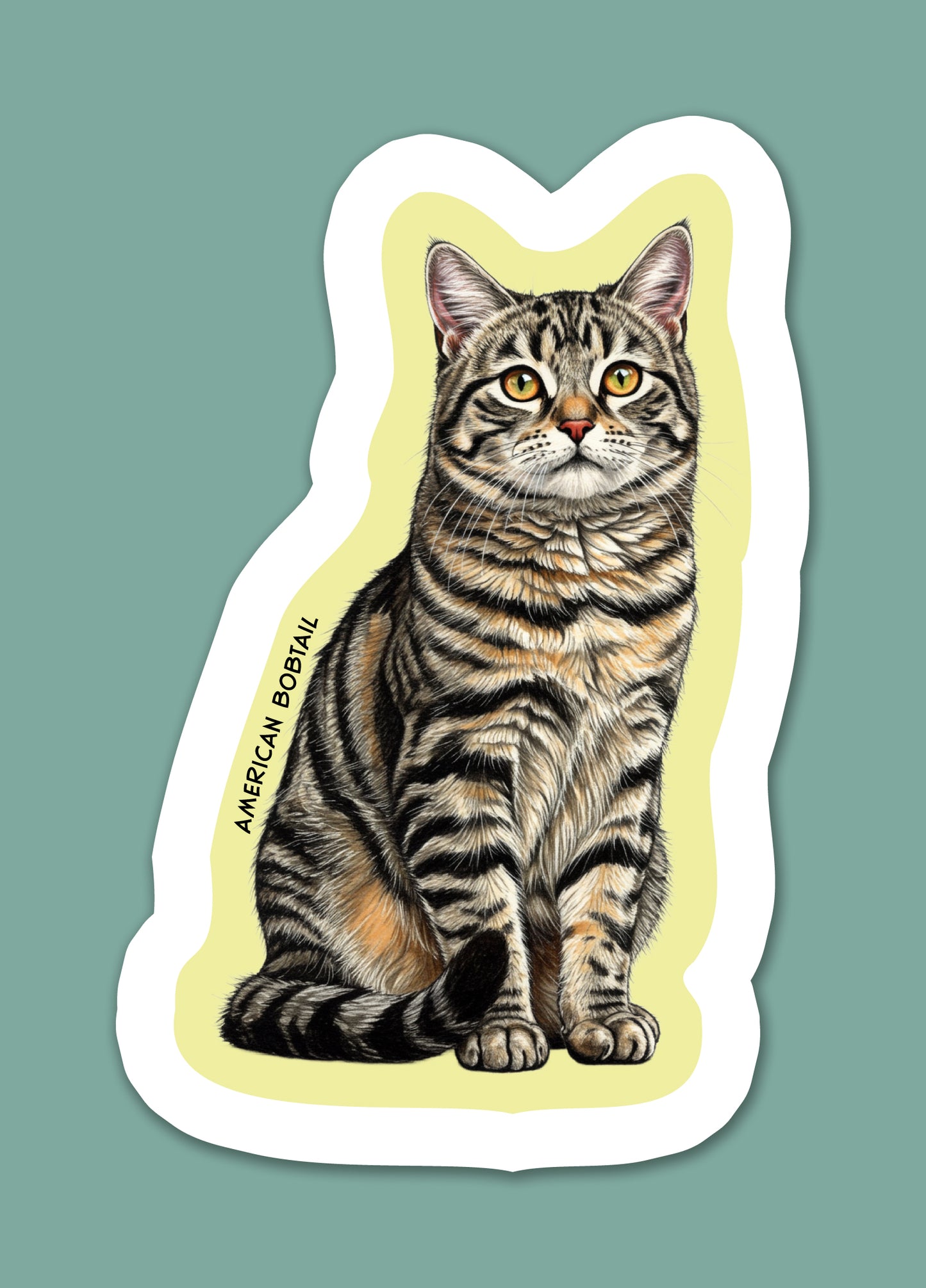 American Bobtail Sticker
