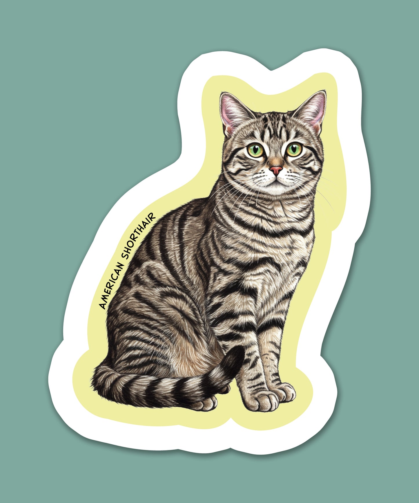 American Shorthair Sticker