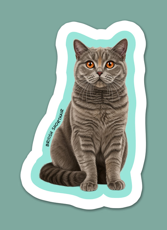 British Shorthair Sticker