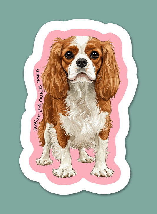 Cavalier King Charles Spaniel Sticker