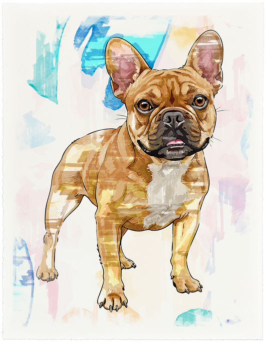 French Bulldog