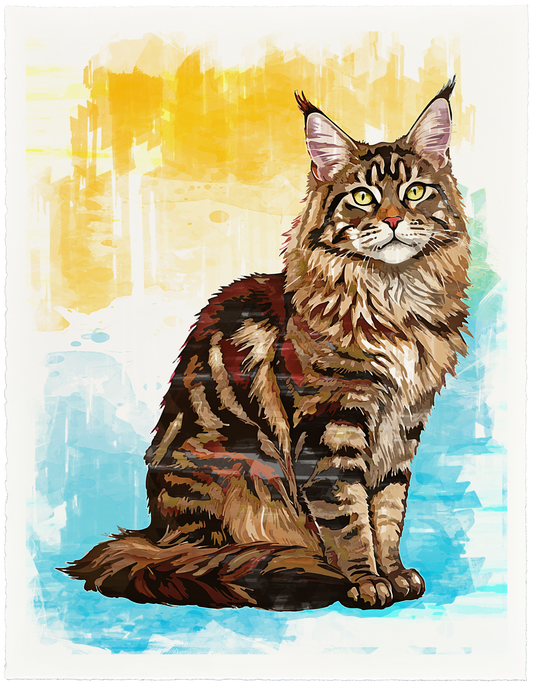 Maine Coon