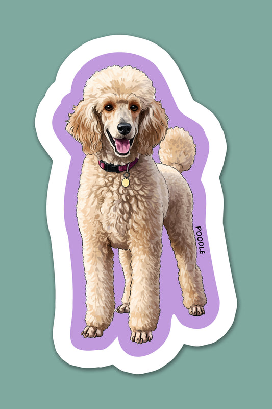 Poodle Sticker