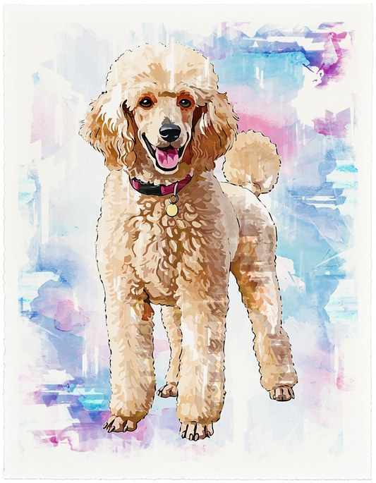 Poodle