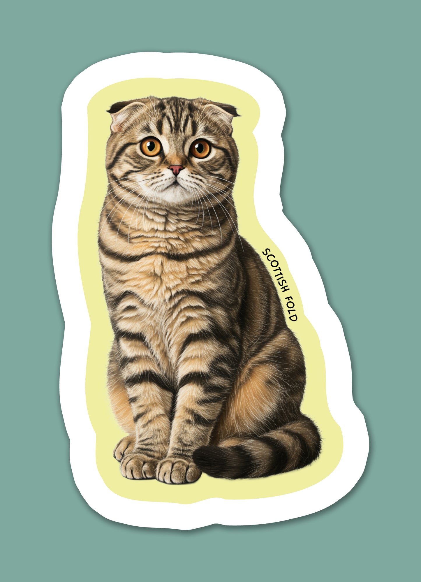 Scottish Fold Sticker