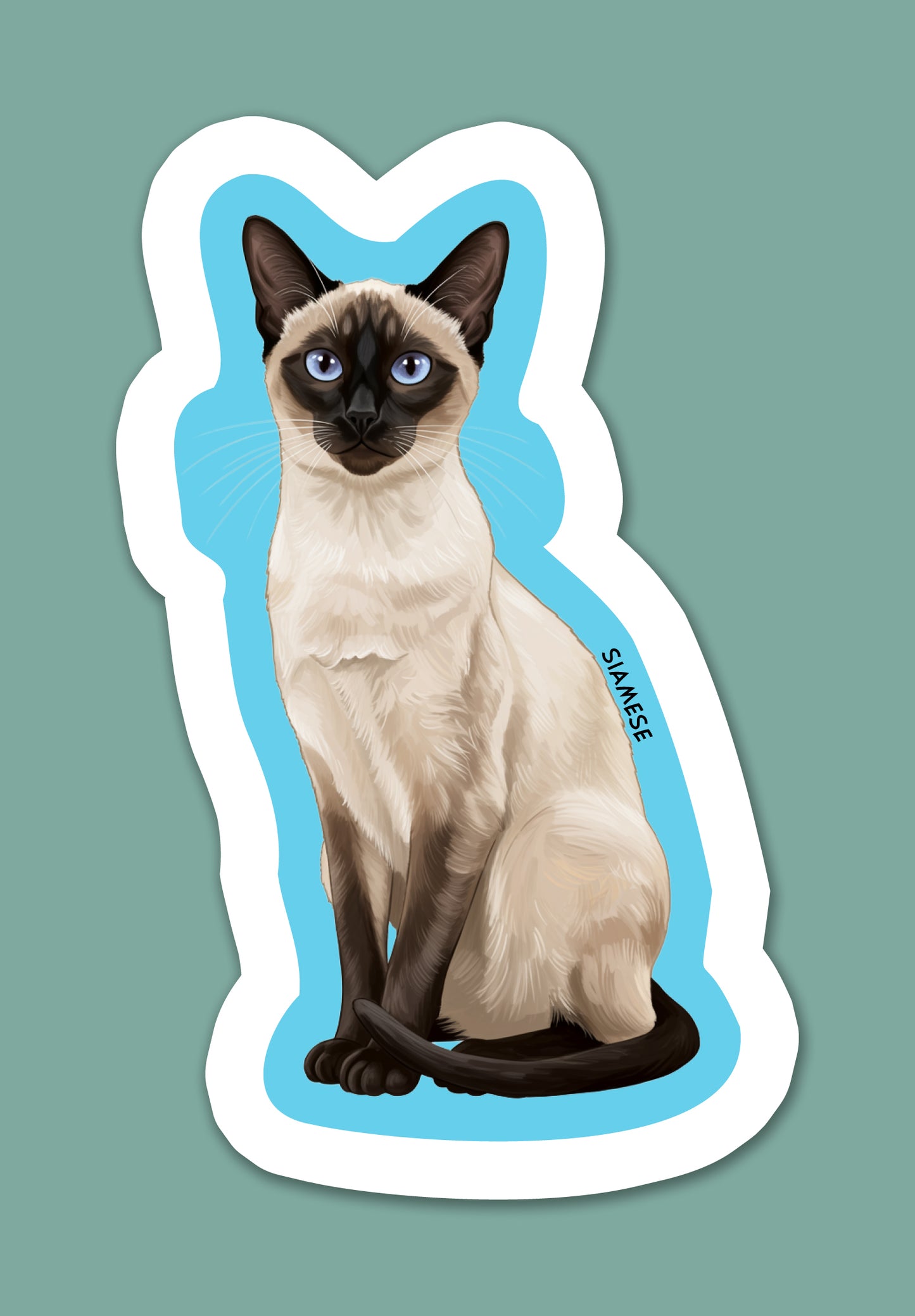 Siamese Sticker