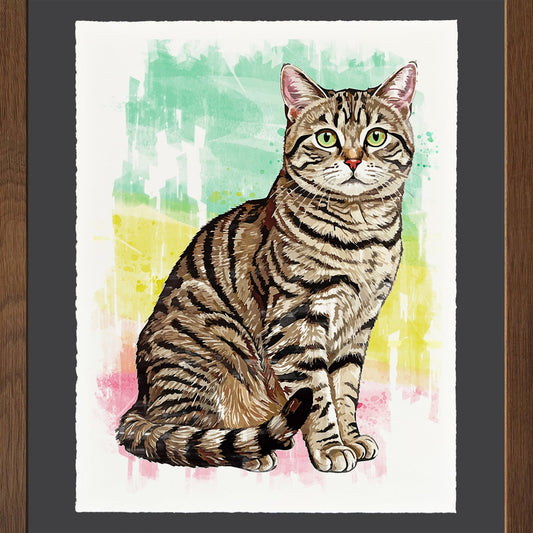 American Shorthair - Cup of Tea Creative