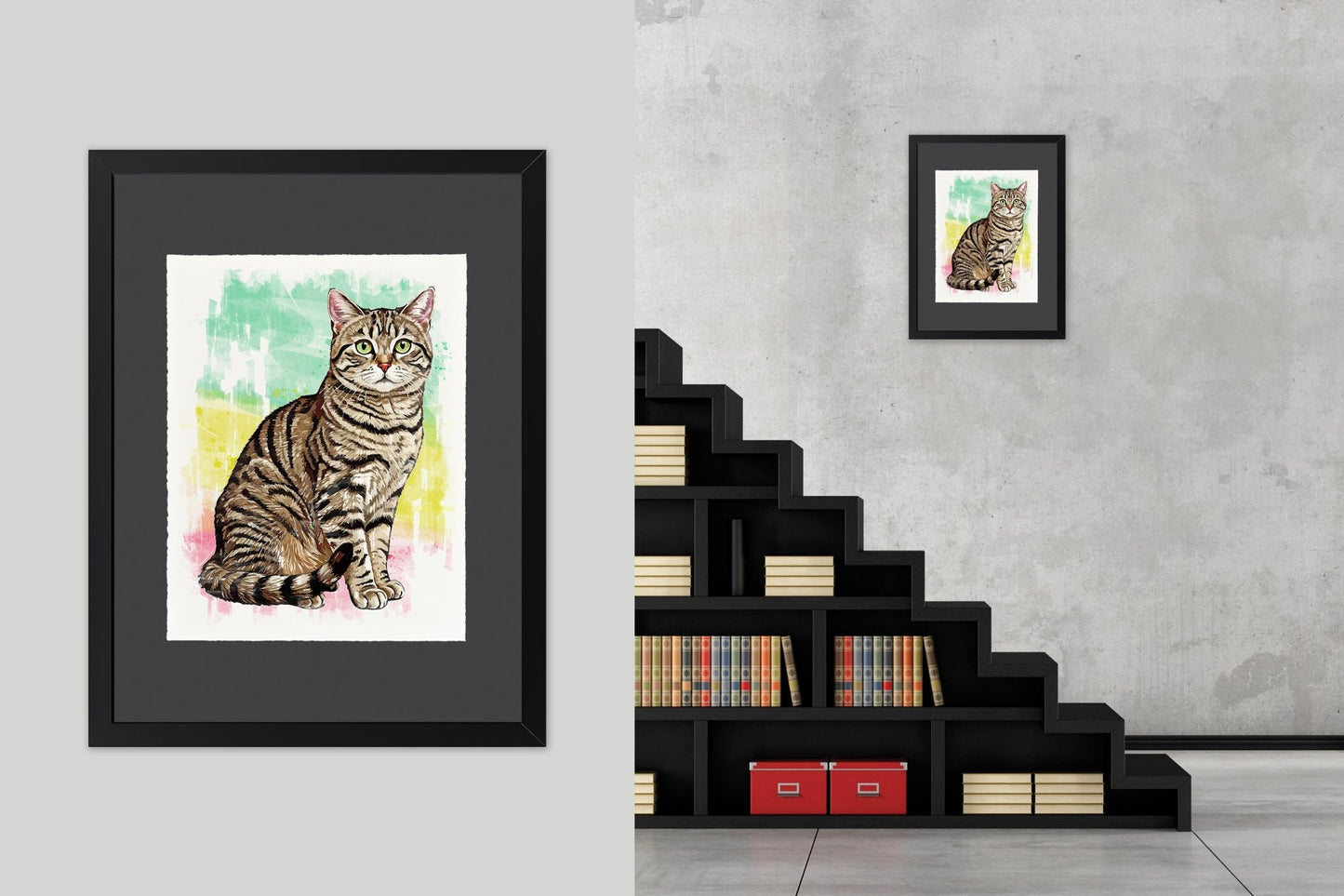 American Shorthair - Cup of Tea Creative