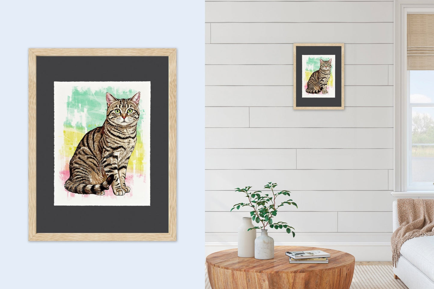 American Shorthair - Cup of Tea Creative