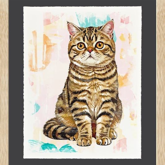 Exotic Shorthair - Cup of Tea Creative